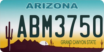 AZ license plate ABM3750