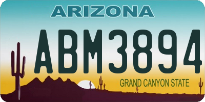 AZ license plate ABM3894
