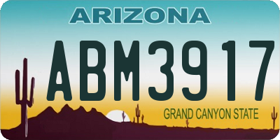 AZ license plate ABM3917