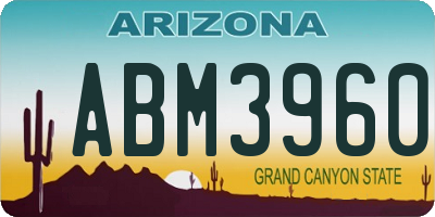 AZ license plate ABM3960