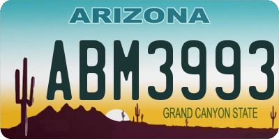 AZ license plate ABM3993