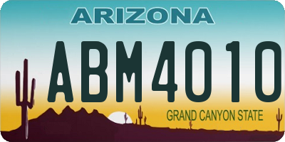 AZ license plate ABM4010