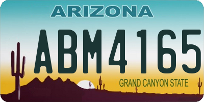 AZ license plate ABM4165