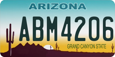 AZ license plate ABM4206