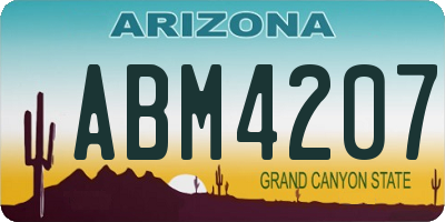 AZ license plate ABM4207