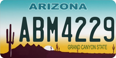 AZ license plate ABM4229