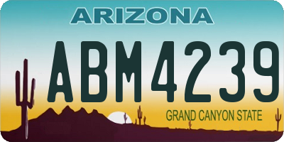 AZ license plate ABM4239