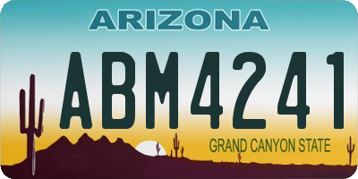 AZ license plate ABM4241