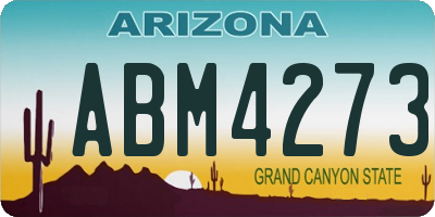 AZ license plate ABM4273