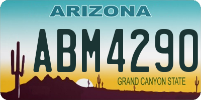 AZ license plate ABM4290