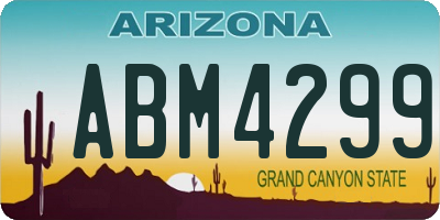 AZ license plate ABM4299