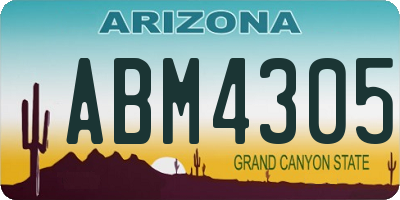 AZ license plate ABM4305