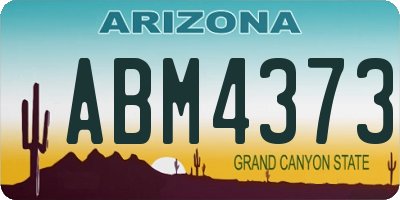 AZ license plate ABM4373