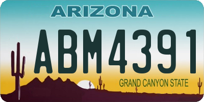 AZ license plate ABM4391
