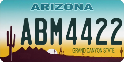 AZ license plate ABM4422