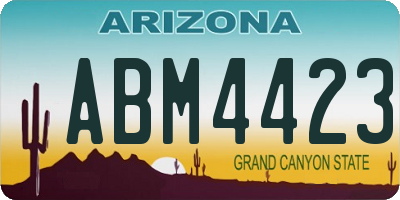 AZ license plate ABM4423