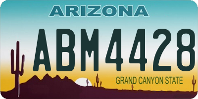 AZ license plate ABM4428