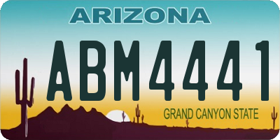 AZ license plate ABM4441