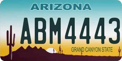 AZ license plate ABM4443