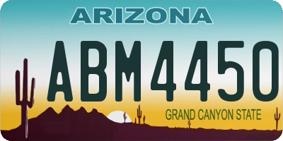 AZ license plate ABM4450