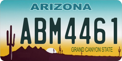 AZ license plate ABM4461