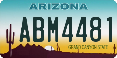 AZ license plate ABM4481