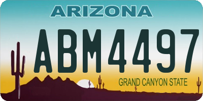 AZ license plate ABM4497