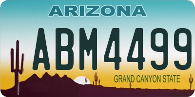 AZ license plate ABM4499