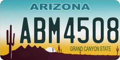 AZ license plate ABM4508