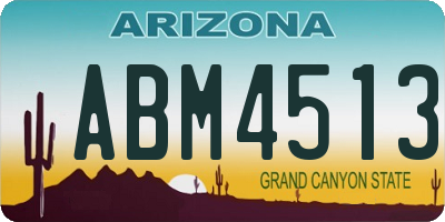 AZ license plate ABM4513