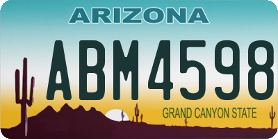 AZ license plate ABM4598