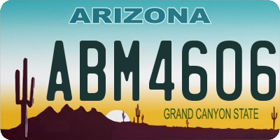 AZ license plate ABM4606