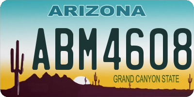 AZ license plate ABM4608