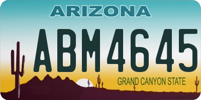 AZ license plate ABM4645