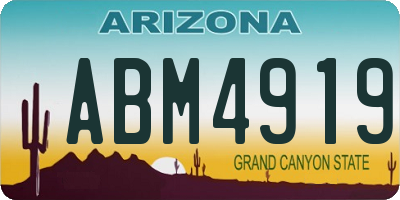 AZ license plate ABM4919