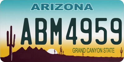 AZ license plate ABM4959