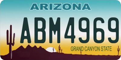 AZ license plate ABM4969
