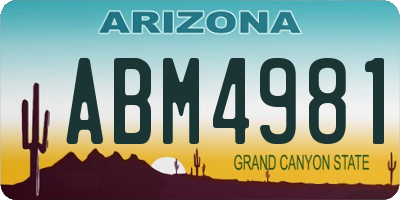 AZ license plate ABM4981