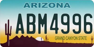AZ license plate ABM4996