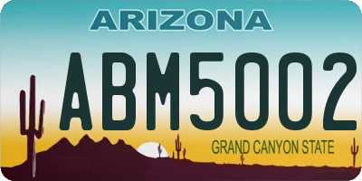 AZ license plate ABM5002