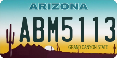 AZ license plate ABM5113