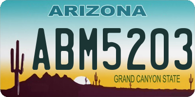 AZ license plate ABM5203