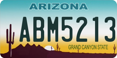 AZ license plate ABM5213