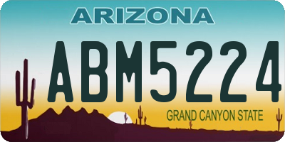 AZ license plate ABM5224