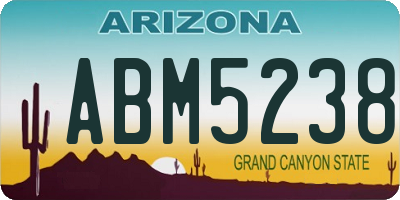 AZ license plate ABM5238