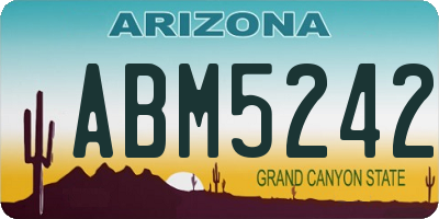 AZ license plate ABM5242