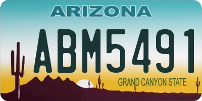 AZ license plate ABM5491