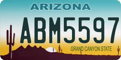 AZ license plate ABM5597
