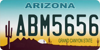 AZ license plate ABM5656