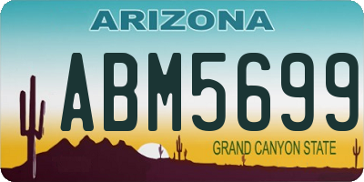 AZ license plate ABM5699